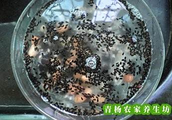 八宝粥怎么熬好喝？