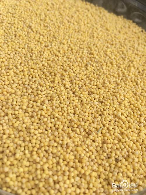 怎样熬小米粥好喝？小米粥怎样熬更有营养？