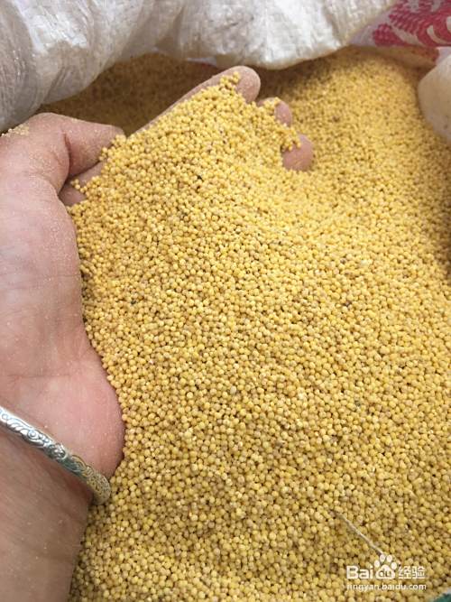 怎样熬小米粥好喝？小米粥怎样熬更有营养？
