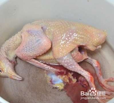野鸡汤怎么熬好喝