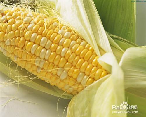 主食为何不可被替代