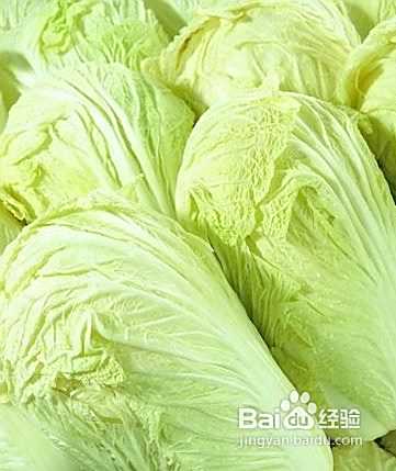 减肥效果很好的白菜减肥食谱
