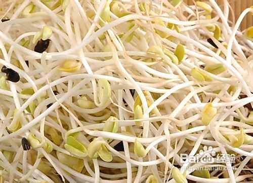 减肥食谱：芽菜减肥