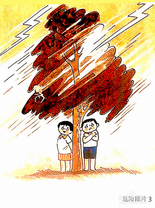 心理健康课教案之安全无小事