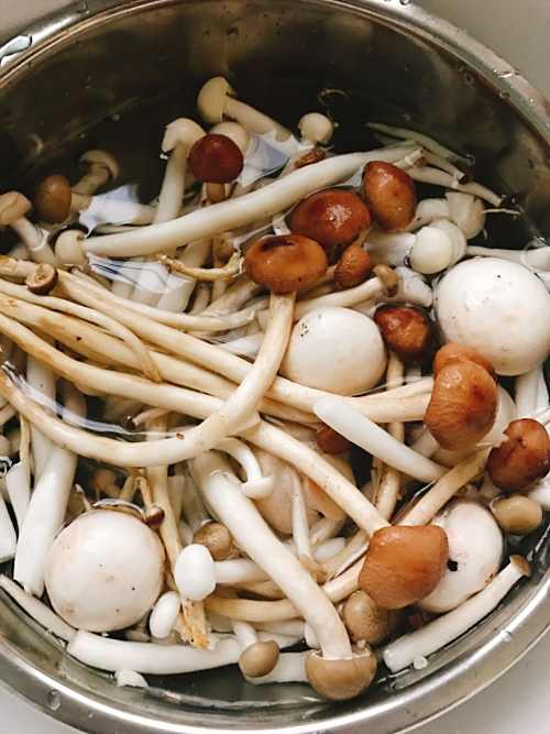 养生杂菌汤，做饭简单，好吃又养生