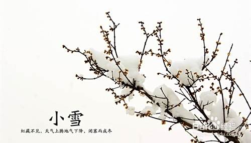 小雪时节如何养生？小雪养生吃什么？