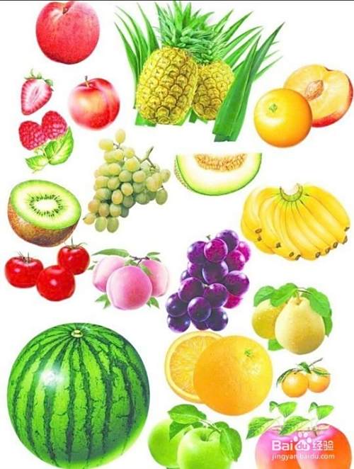 养生和药物有什么区别？