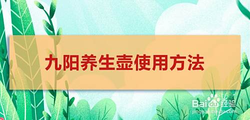 九阳养生壶使用方法