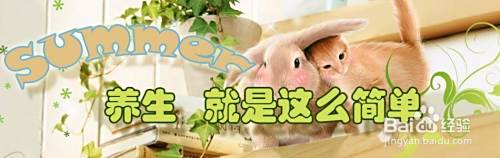 夏季养生吃什么，夏天怎么养生