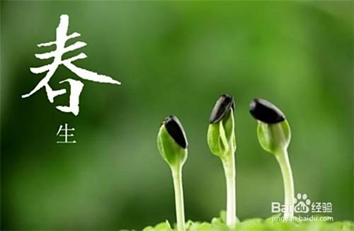 春季养生知识大全春季如何养生