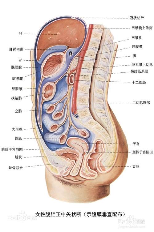 教你如何养生？