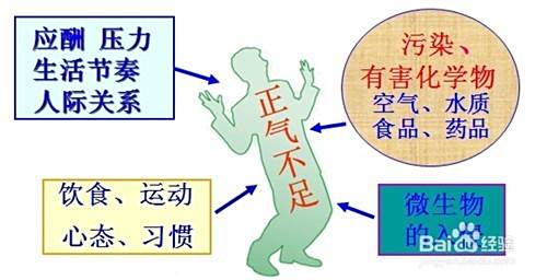 春季养生知识大全春季如何养生
