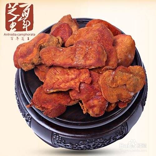 秋天吃什么养生？养生最好的食物有哪些？