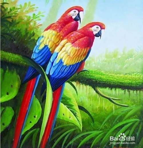 养生和药物有什么区别？
