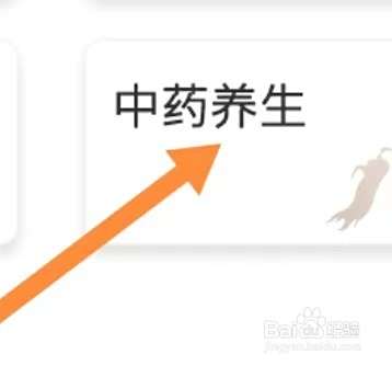 养生通如何查找中药养生