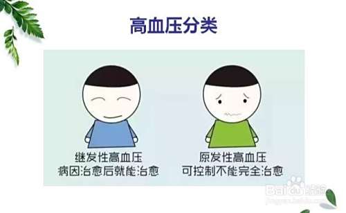 什么是高血压？