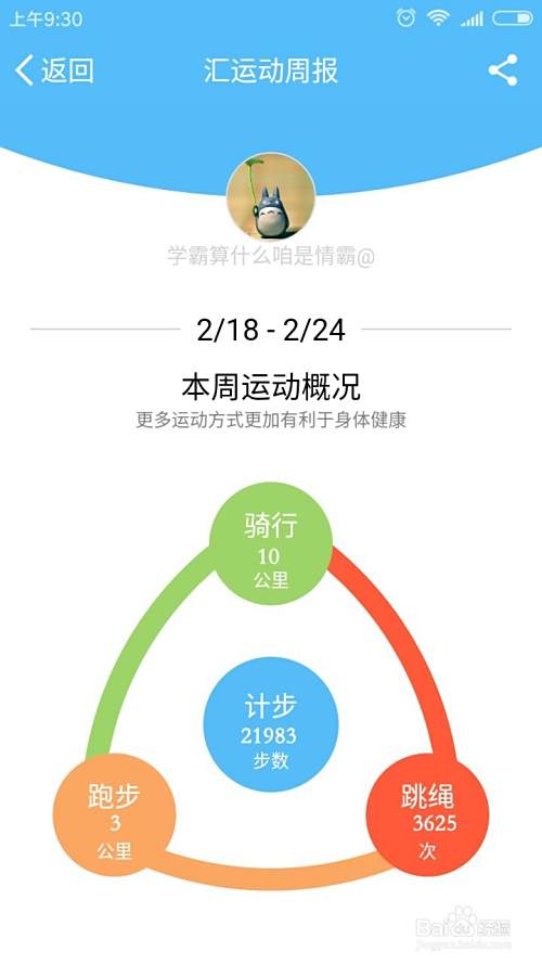 汇运动怎么查看运动报表