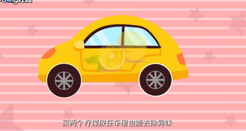 新车除异味的方法是什么