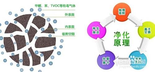 如何去除新车的异味 ？