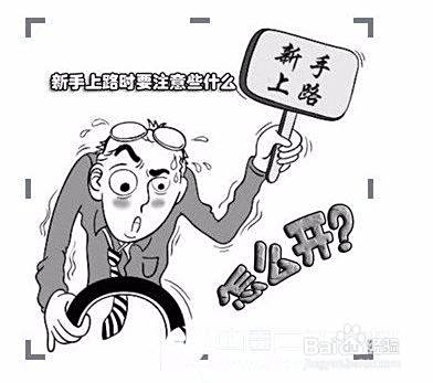 新手买新车如何开回家