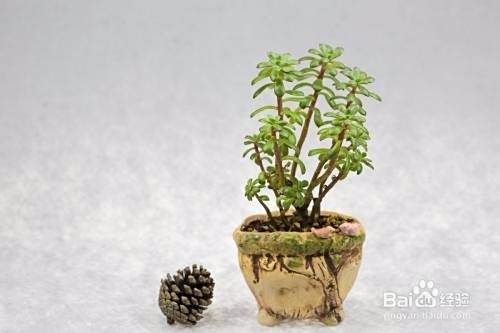新车如何去除异味 新车异味去除方法