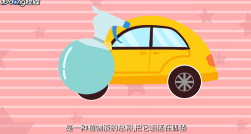 新车除异味的方法是什么