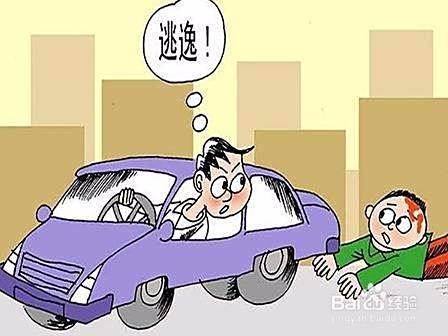 对方肇事逃逸怎么办