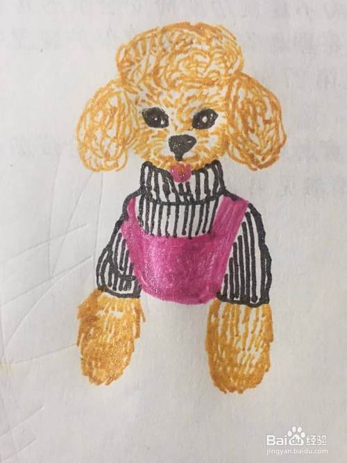 泰迪犬的简笔画教程