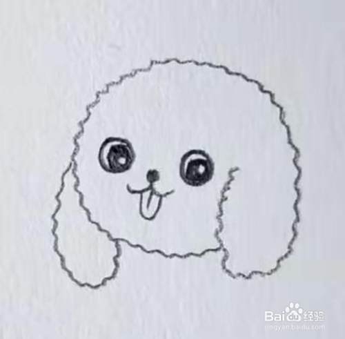 简笔画泰迪犬怎么画