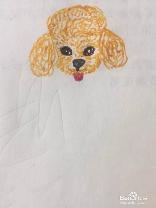 泰迪犬的简笔画教程