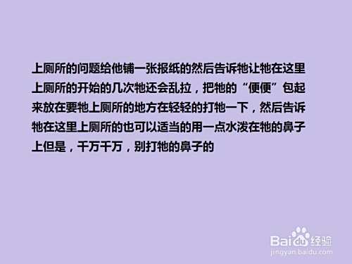 怎么“养护”泰迪犬？