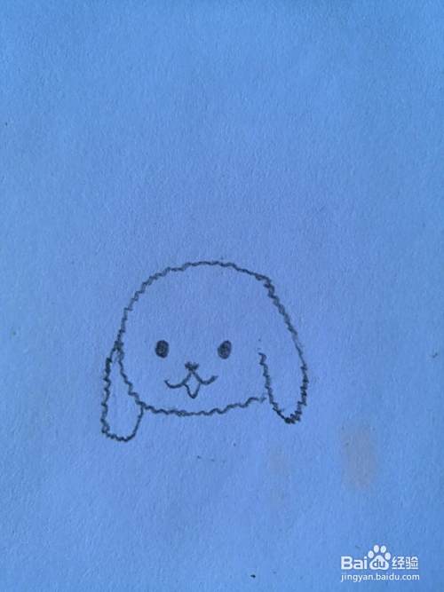 如何画泰迪犬？