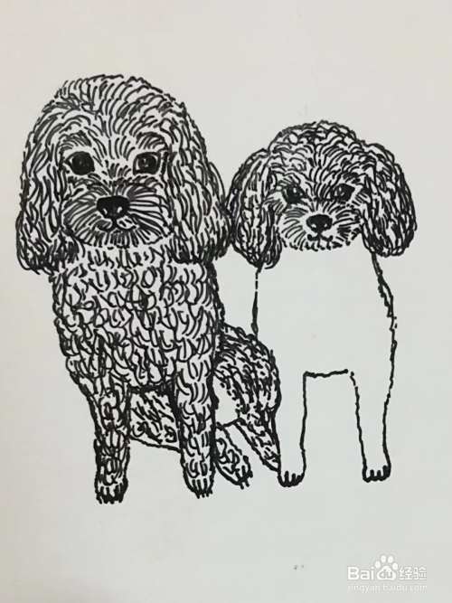 插画教程之沙发上的泰迪犬