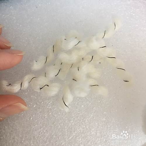 适合新手学做的泰迪犬教程