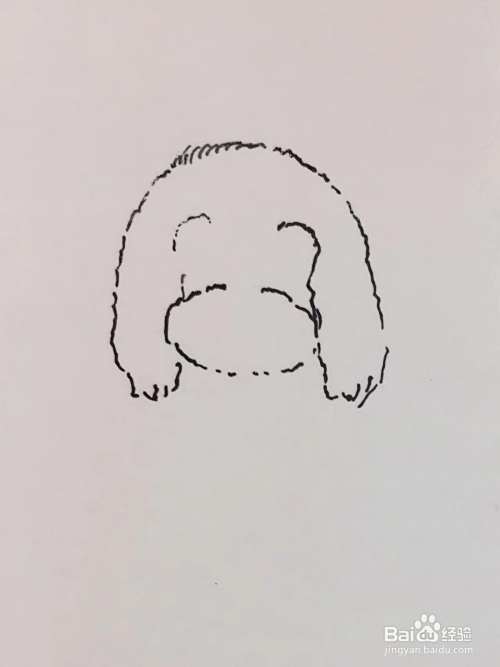 插画教程之沙发上的泰迪犬