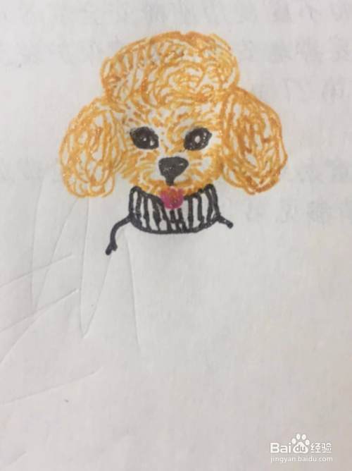 泰迪犬的简笔画教程