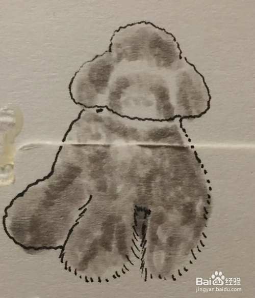 插画教程之灰色泰迪犬