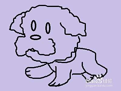 简笔画系列之怎样画泰迪犬
