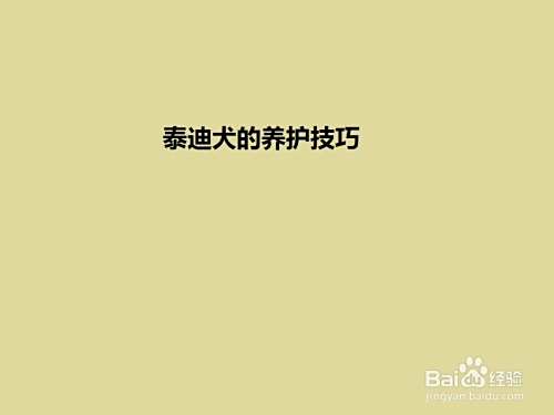 怎么“养护”泰迪犬？