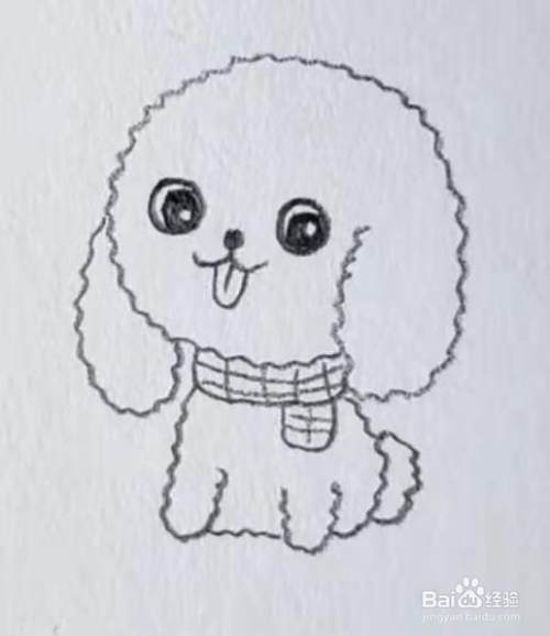 简笔画泰迪犬怎么画