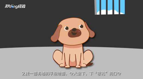 怎样训练泰迪犬