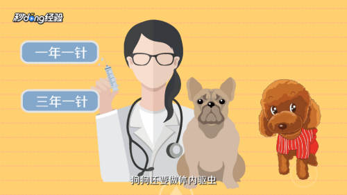 如何正确饲养泰迪犬