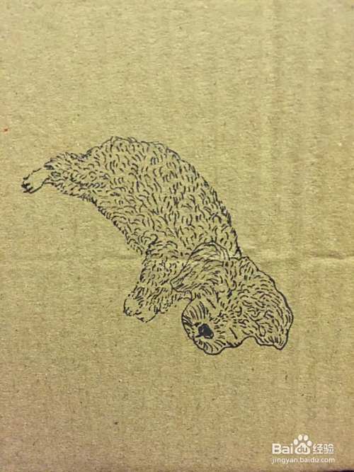 插画教程之草地上的泰迪犬