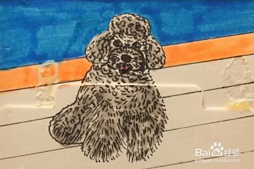 插画教程之灰色泰迪犬