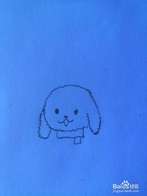 如何画泰迪犬？