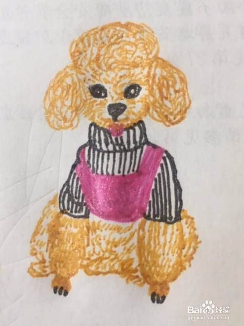 泰迪犬的简笔画教程