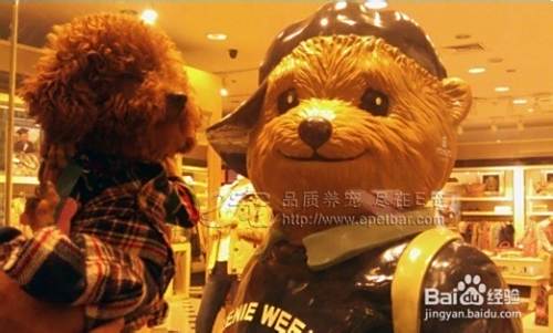泰迪犬价格？