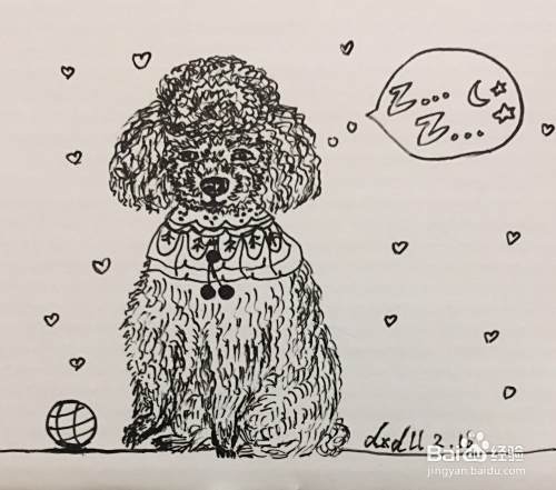 插画教程之打瞌睡的泰迪犬