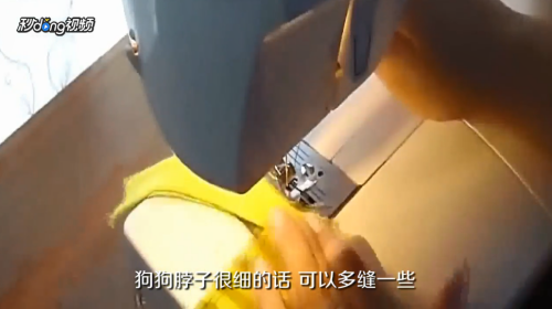 泰迪犬衣服怎么做
