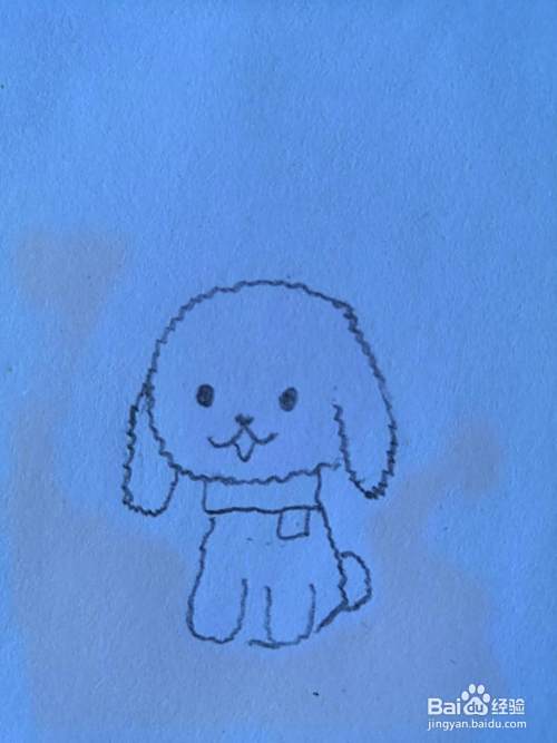 如何画泰迪犬？